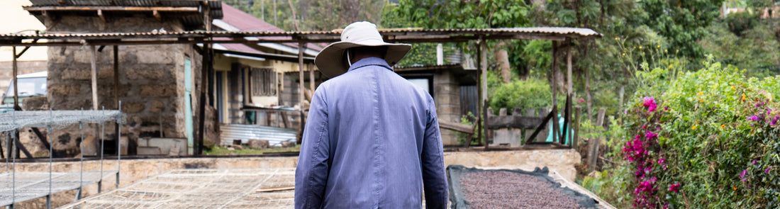 Visiting Specialty Coffee Farms and Projects in Kenya