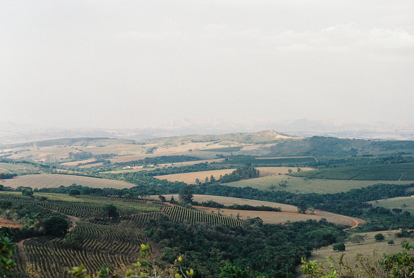 Brazil Otavio