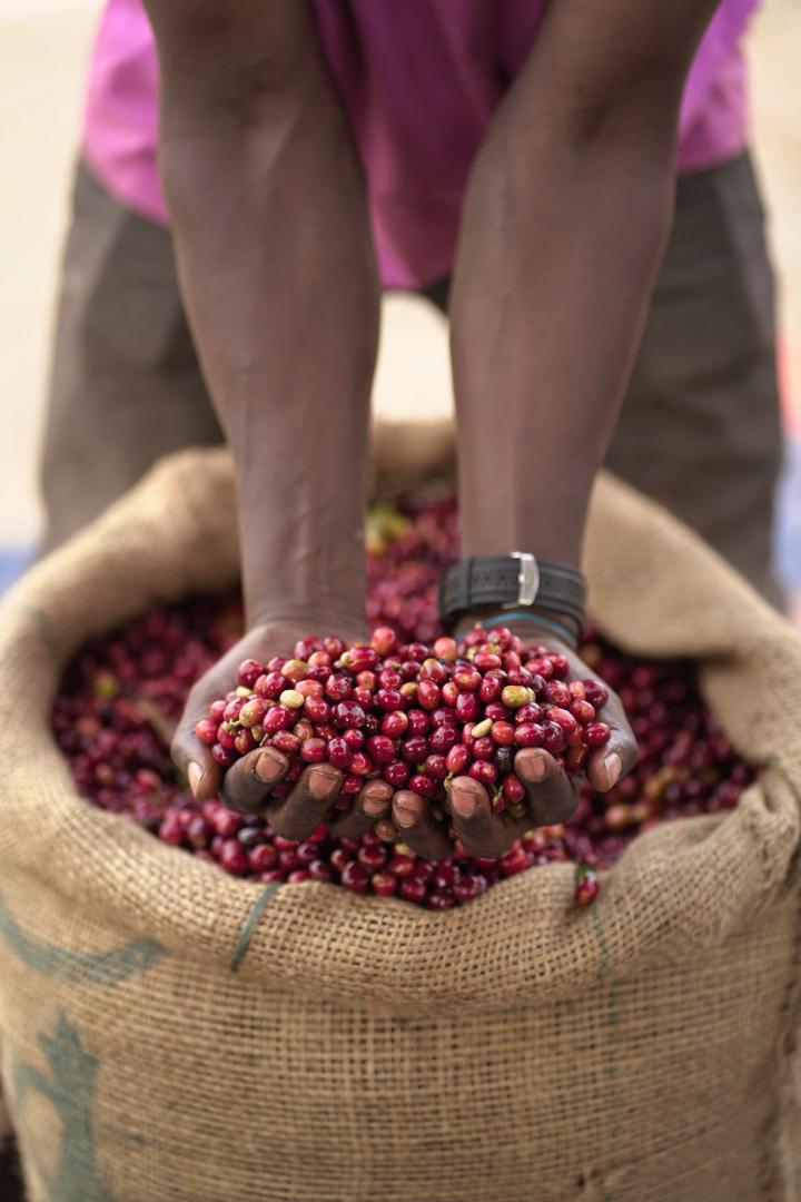Ethiopia Buku Abel