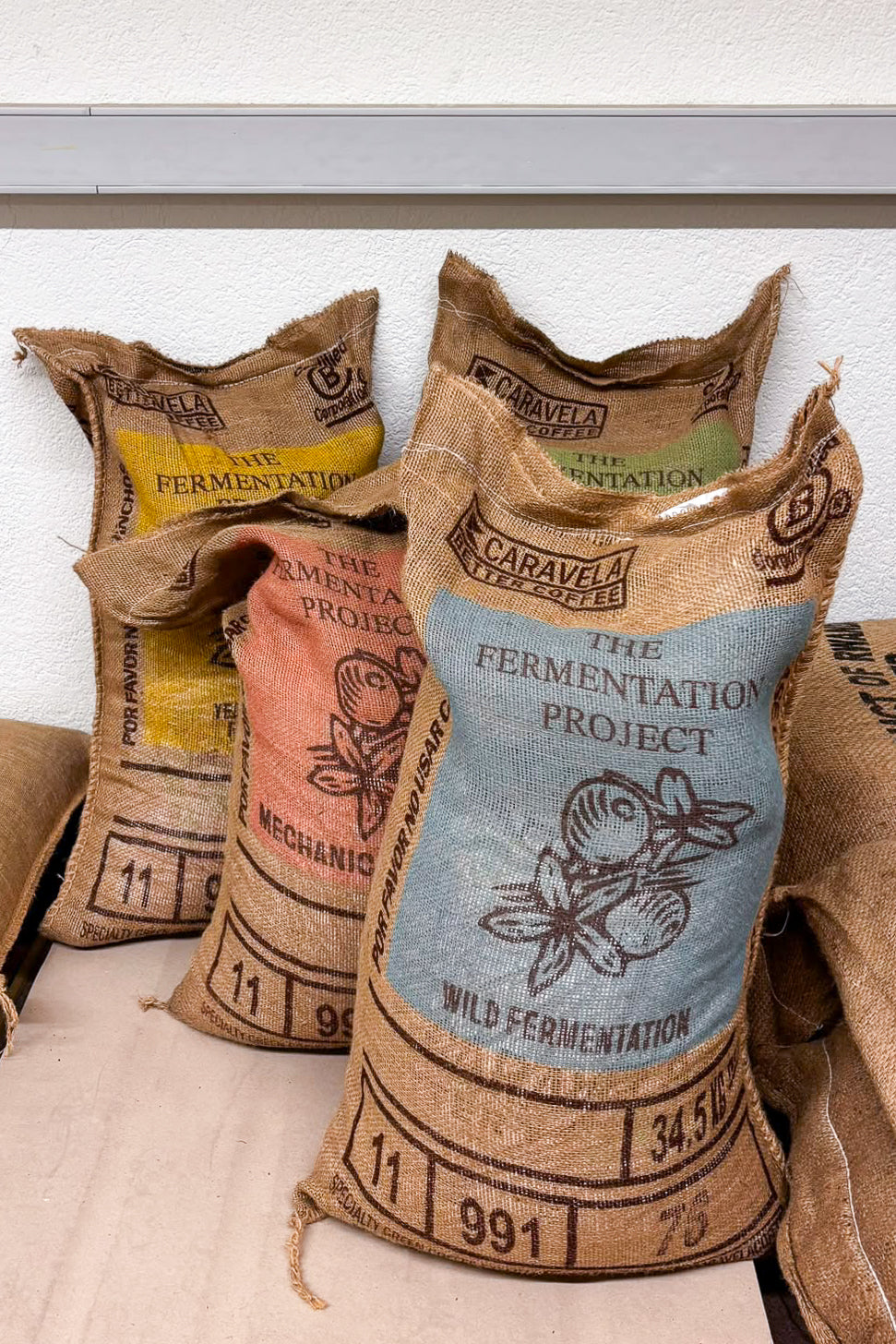 The Fermentation Project Tasting Set