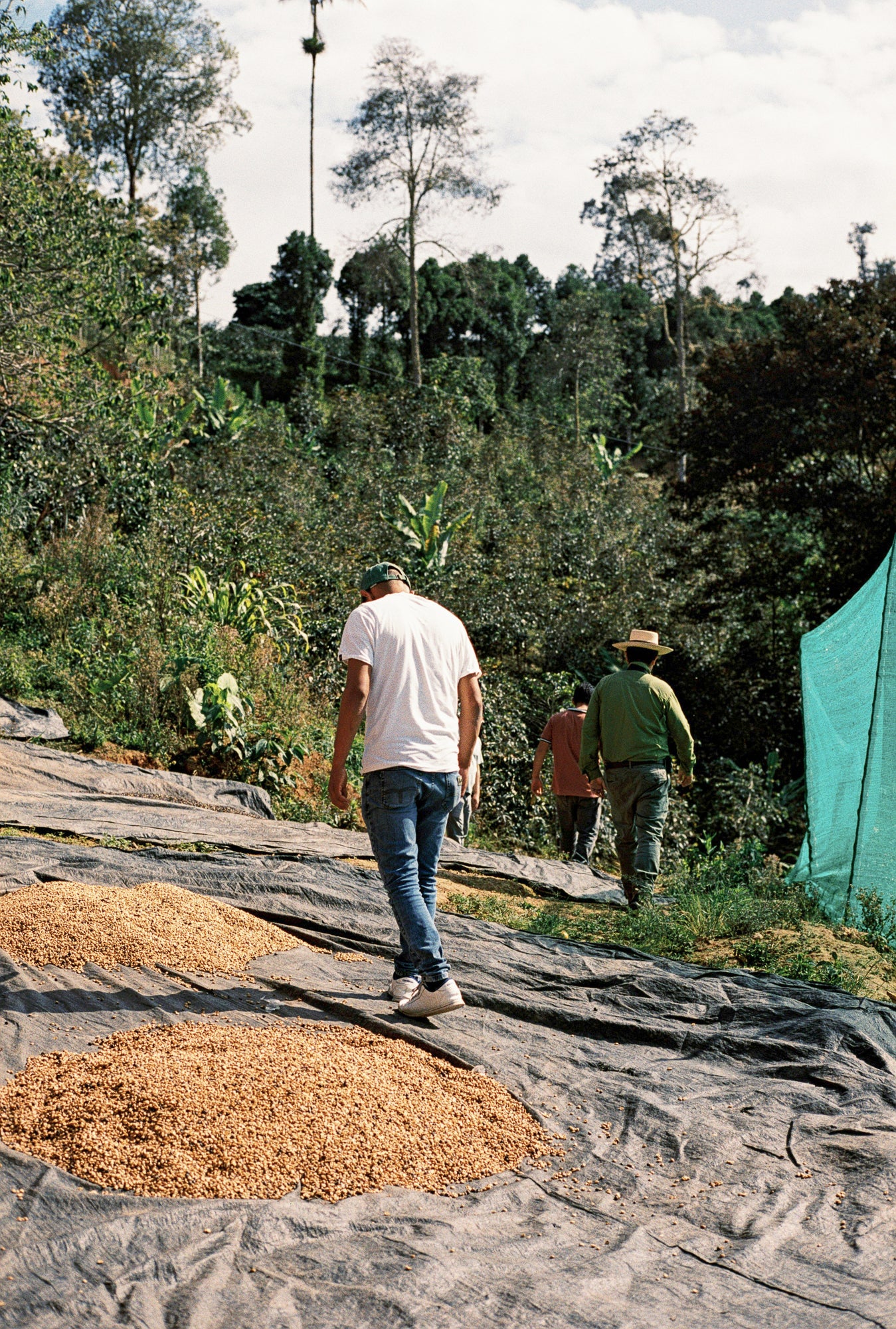 Peru La Confianza