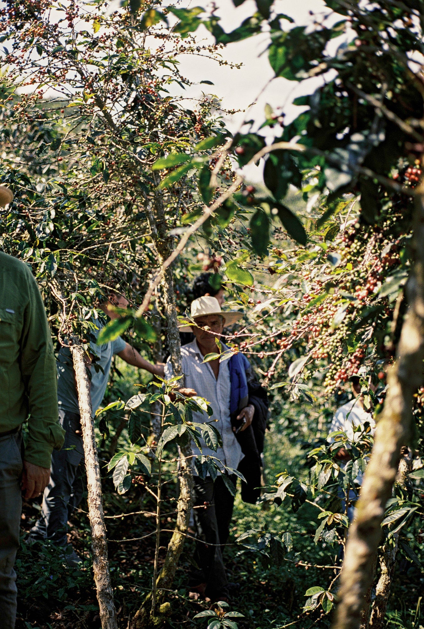 Peru La Confianza