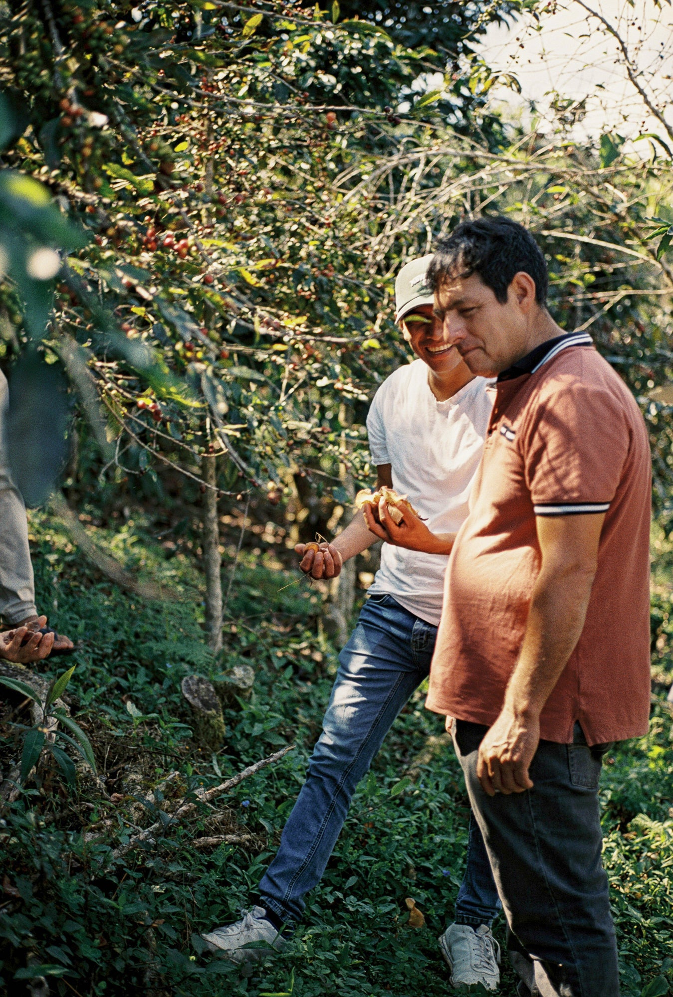 Peru La Confianza