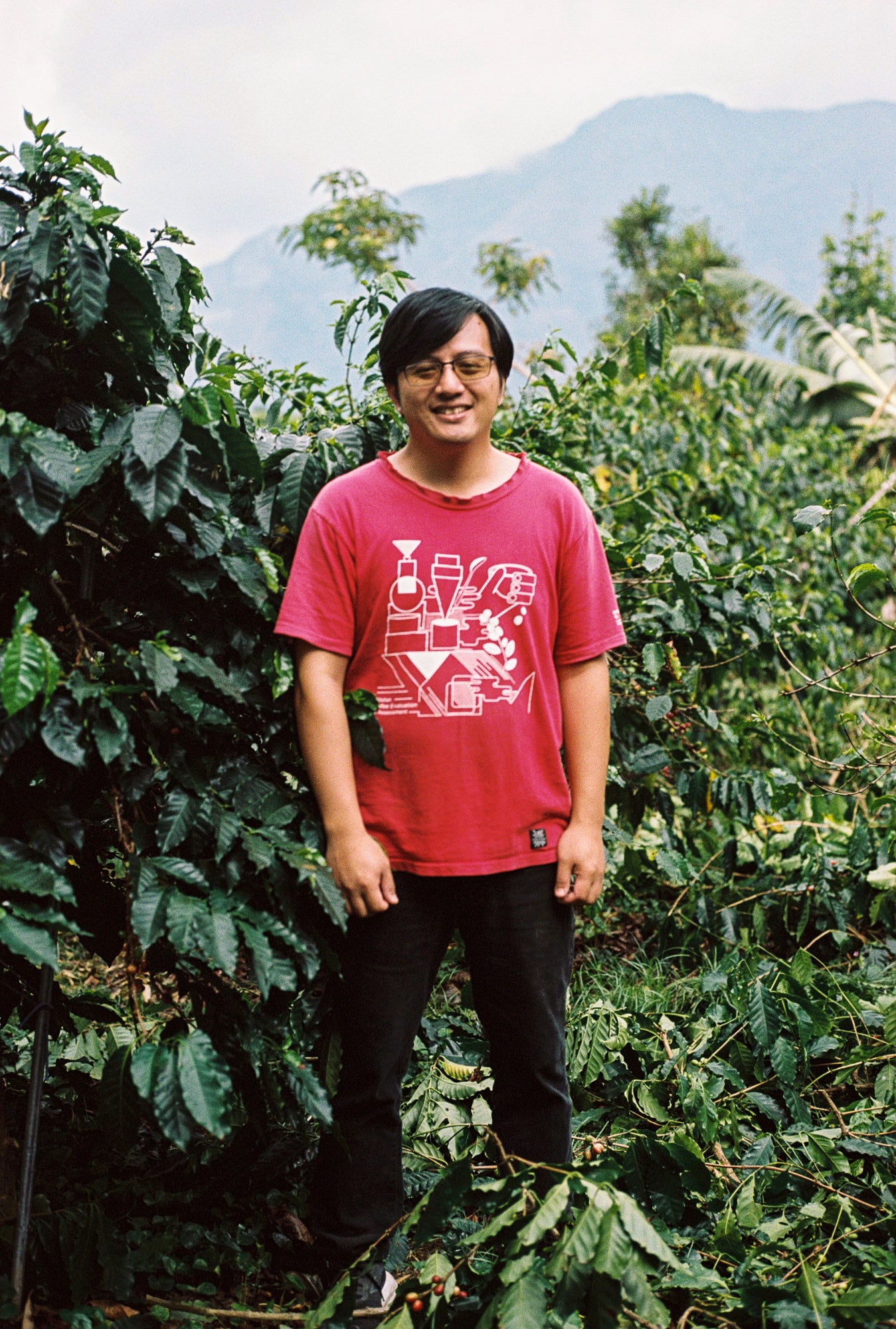 Taiwan Yangui Gesha